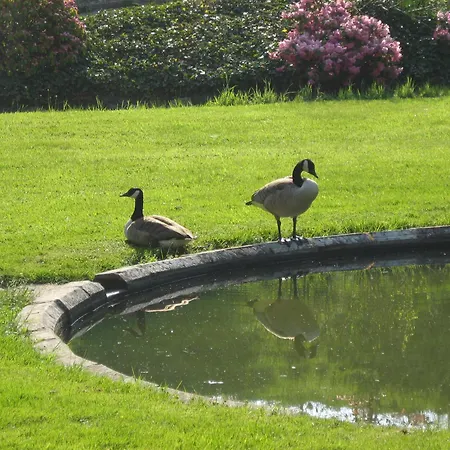 Chateau De Bonne Esperance 3*