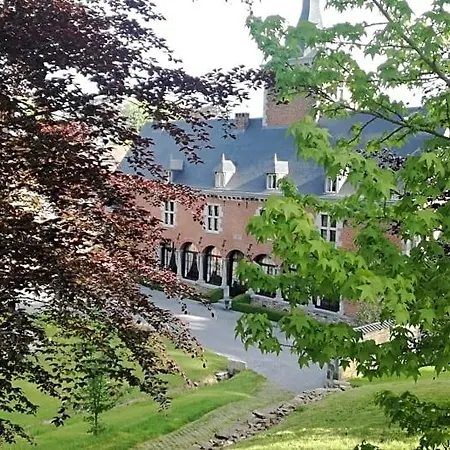 Chateau De Bonne Esperance 3* הוי