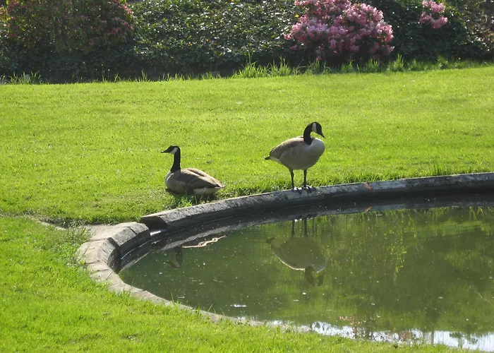 Chateau De Bonne Esperance 3*