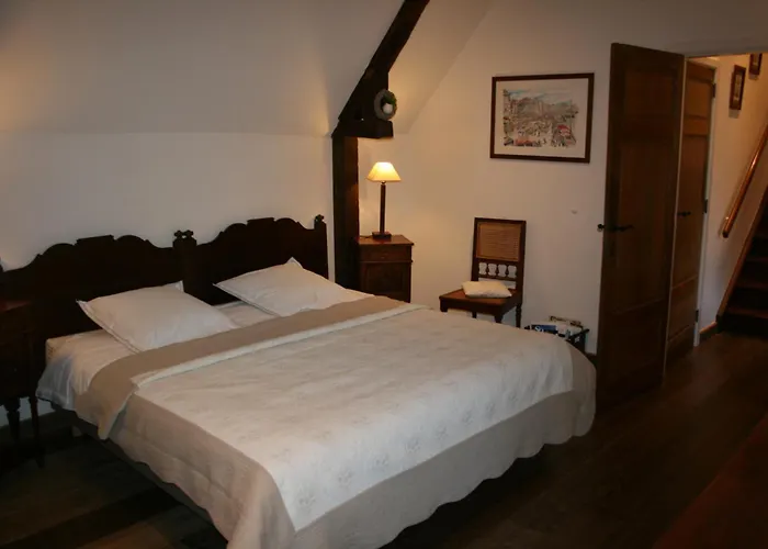 Nocleg ze śniadaniem Chateau De Bonne Esperance 3*